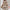 Summer Women's Geometric Pattern Printed Pleated Dress