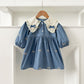 Bowknot Embroidered Baby Girl Princess Dress