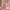 Girls' Fashion Personalized High-end Pettiskirt