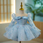Children's Dress Princess Dress Blue Girl