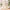 Girl's Long-sleeved Host Flower Girl's Wedding Dress
