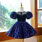 Children's Princess Dress Birthday Flower Girl Host Performance Costume