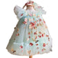 Robe de princesse Lolita pour fille avec motif de fleurs brodées et papillons