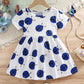 Embroidered Flowers Holiday Party Dress Girl