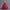 Girl's Flower Girl Umbrella Princess Dress