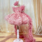 New Butterfly Sequin Long Sleeved Princess Dress