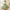 Girls' FARCENT Dress French Entry Lux Pearl Princess Dress