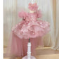 New Butterfly Sequin Long Sleeved Princess Dress