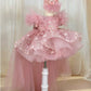 New Butterfly Sequin Long Sleeved Princess Dress