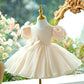 Girls' Dress Children's Birthday Full-year Costume