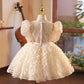 Robe de princesse pour fête d'anniversaire d'un an pour petite fille