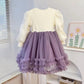 New Autumn And Winter Fleece-lined Thickening Princess Dress