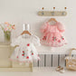 Baby Girl Embroidered Bow Mesh Princess Dress
