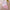 Fashion Children Short Sleeve Shorts Suit