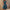 Elegant Floral Dress Lady Temperament