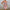 V-neck Strap Short Skirt Backless