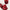 Wine Red Meiko Flower Decorative Flip-toe Square Toe High Heel Sandals