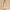 New Fashion Printing Slip Dress