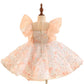 Children's Dress Princess Girl Birthday Party Formal Dress