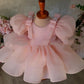 Flower Girl Puffy Baby Little Host Princess Dress