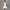 Women's Pearl Bow Fashion Slim Fit Skirt