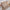 Retro High Waist Slimming Commuting Slim Fit Slit A- Line Skirt