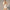Solid Color Briefs Strap Design Low Neck Resort Swimsuit