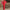 Mesh Stitching Long Sleeves Slim Wide Leg Jumpsuit