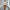 Stylish Minimalist And Relaxed Fit Womens Long Sleeve Set