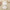 Baby Solid Color Multicolor Suspender Shorts Suit