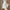 Fashion Personalized Women's Summer Yoga Culottes