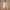 Womens Solid-Color Lace Long-Sleeve Slim-Fit Base Bodysuit