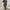 Women's Solid-Color French-Style Slim-Fit Knitted Dress Set