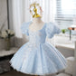Light Blue French Style Puff Sleeve Princess Dress