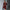 New Hollow Short Skirt Waffle Bell Sleeve Sheath Long Sleeve Dress