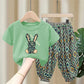Children's Summer Thin T-shirt Blouse And Pants