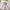 Light Luxury Minority High-end Girls' Birthday Banquet Ten-year-old Princess Dress Western Style