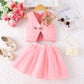 Mesh Princess Dress Two-piece Set