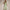 Women's Fashionable Casual V-Neck Printed Sleeveless Jumpsuit
