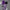 Girls' Cropped Hoodie Rib Vest Camouflage Full Printed Sweatpants Three-piece Set