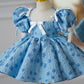 Zhuazhou Birthday Princess Dress Girls' Piano Pettiskirt