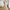 Mid-length Base Knitting Dress Sweater Women
