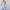 Women's Waist-tight A- Line Ruffled Vacation Leisure Dress