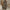 Womens Stylish Wide-leg Jumpsuit With Long Sleeves Floral Print And A Fitted Waist