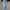 Fashionable Women's Denim Trousers