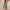 Camisole Tube Top Pleated Loose Fashion Jumpsuit