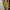 High Slit Ladies' Evening Dress Green Nipped Waists Suspender Skirt
