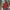 Loose Cable-knit Solid Color Turtleneck Sweater For Women