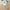 Girls Trendy Stitching Two-piece Suit