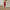 Irregular One Shoulder Temperament Elastic Bandage Long Banquet Mini Dress